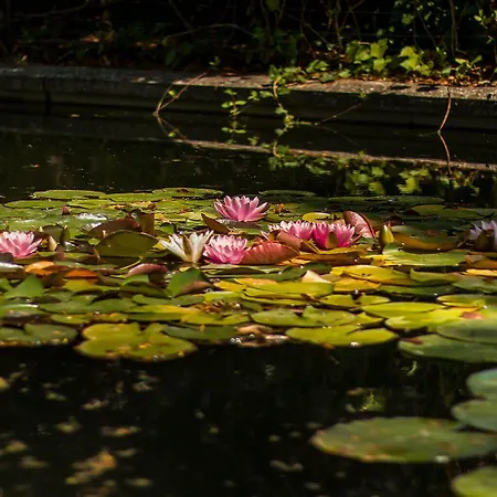 Les Jardins De Josephine - Le Manoir 3* Evreux