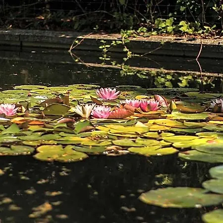 Les Jardins De Josephine - Le Manoir Hotel 3*
