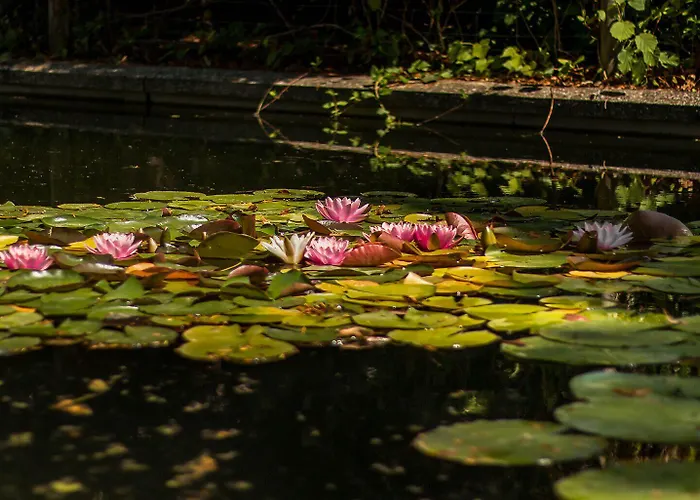 Les Jardins De Josephine - Le Manoir 3* 埃夫勒
